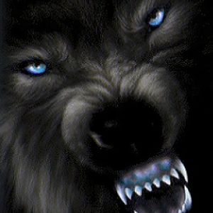 Lobo Negro Feroz