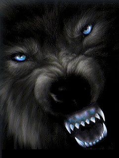 Lobo Negro Feroz