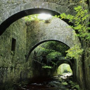 Arco Misterioso en la Naturaleza