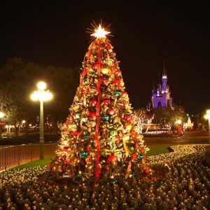 Árbol de Navidad de Noche