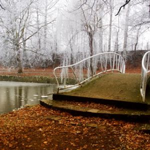 Puente Congelado en Paisaje Invernal