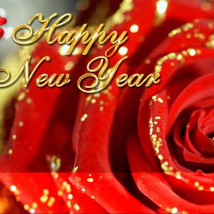 Rosa Feliz Año Nuevo