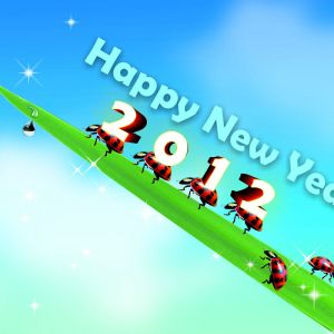 Feliz Año Nuevo 2012