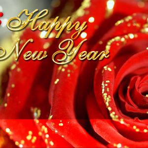 Feliz Año Nuevo Rosa