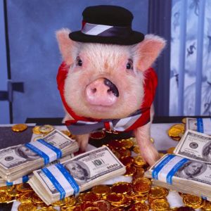 Cerdo con Dinero y Sombrero