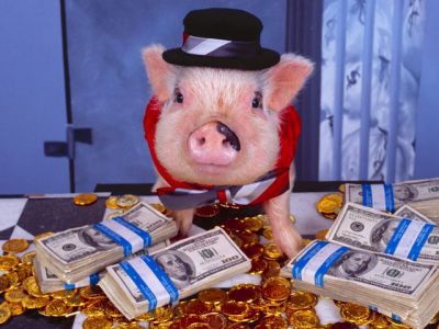 Cerdo con Dinero y Sombrero