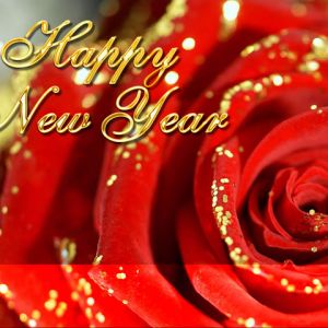 Feliz Año Nuevo Rosa