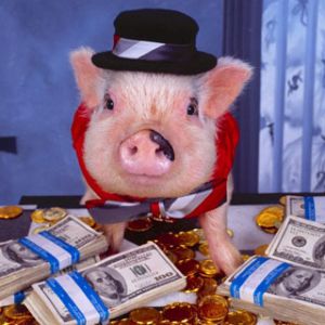 Cerdo Divertido con Dinero