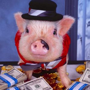 Cerdo Divertido con Dinero
