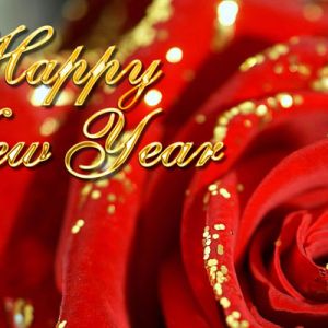 Feliz Año Nuevo Rosa