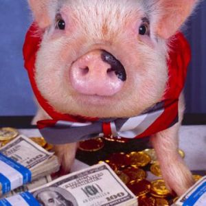 Cerdo Elegante con Dinero