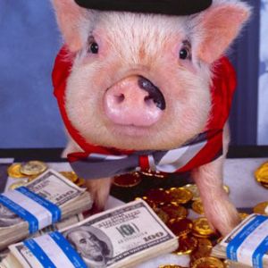 Cerdo con Dinero