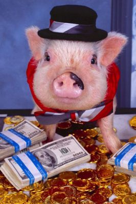 Cerdo con Dinero