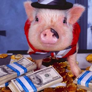 Cerdo con Dinero
