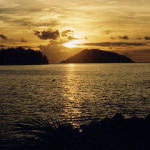 Atardecer Dorado sobre el Océano