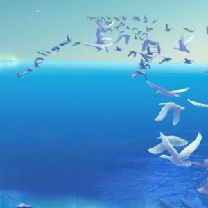 Océano Sereno con Aves Volando