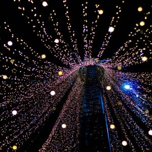 Luces de Navidad Mágicas