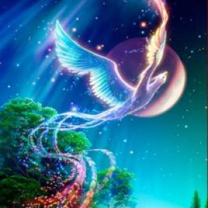 Fénix Místico en el Cielo Nocturno