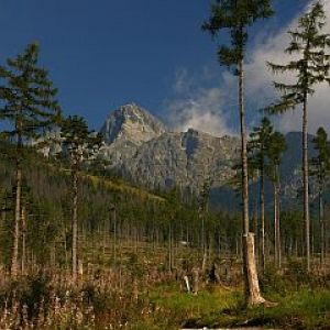 Paisaje montañoso majestuoso