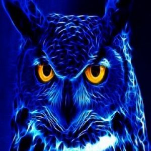 Búho Azul Eléctrico