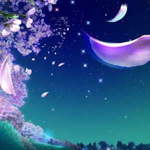Cielo Nocturno de Ensueño con Pétalos