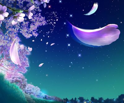 Cielo Nocturno de Ensueño con Pétalos
