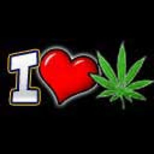 Amo el Arte del Cannabis
