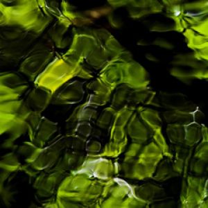 Patrones de Agua Abstracta Verde