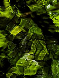Patrones de Agua Abstracta Verde