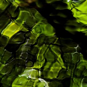 Reflejo de Agua Verde Abstracto