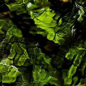 Reflejo Verde en el Agua