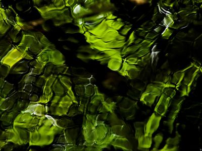 Reflejo Verde en el Agua