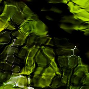 Patrones Abstractos Verdes de la Naturaleza