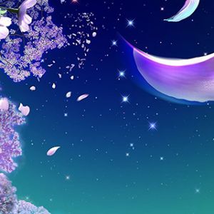 Cielo Nocturno Soñado con Pétalos