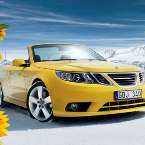 Coche Convertible Amarillo en la Naturaleza