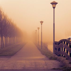 Camino Brumoso con Farolas