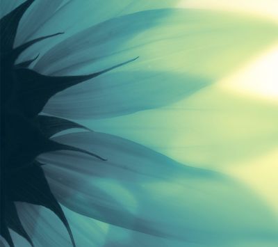 Abstracto Floral Suave