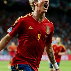 Fernando Torres Celebrando un Gol