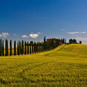 Paisaje Toscano