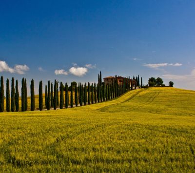 Paisaje Toscano