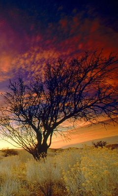 Impresionante Atardecer Sobre Paisaje Desértico