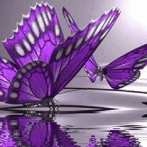 Mariposas Moradas en el Agua