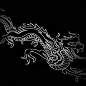 Elegant Dragon Illustration