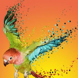 Loro Colorido en Vuelo