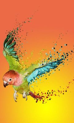 Loro Colorido en Vuelo