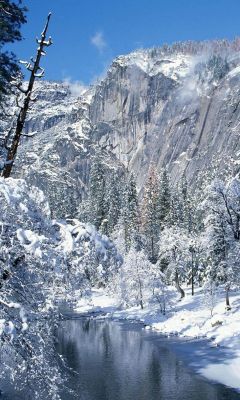 Paisaje Invernal