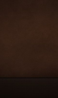Fondo Texturizado Marrón Oscuro
