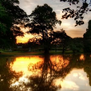 Reflejo del Atardecer en la Naturaleza
