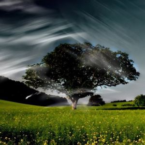 Paisaje Nocturno Sereno