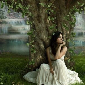 Belleza Encantadora del Bosque